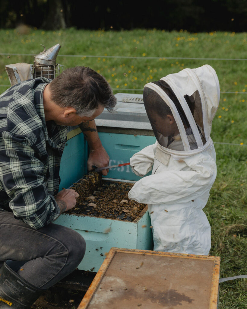 WoodGrain Bees family owned beekeeping inspecting hives